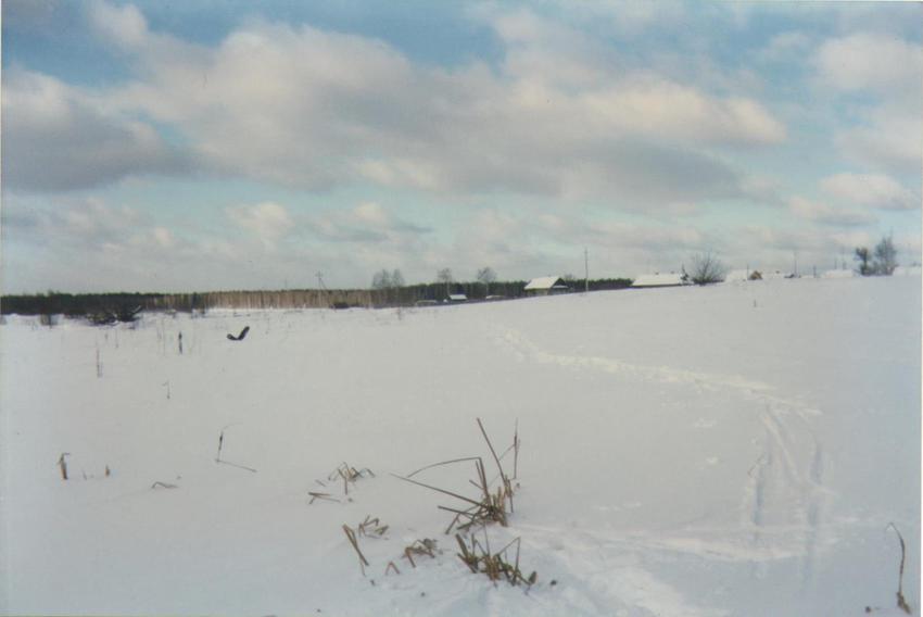 Деревня Митинская со стороны занесённого снегом родника