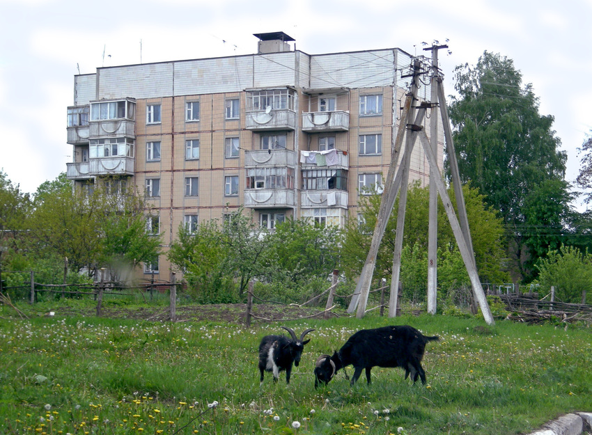 Облик поселка Батрацкая Дача