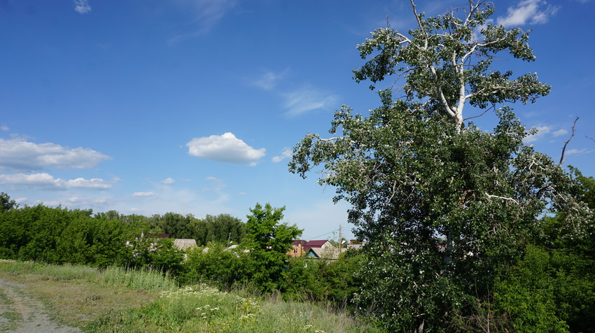 Старый город.