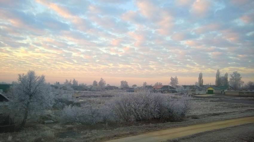 Карта большой самовец