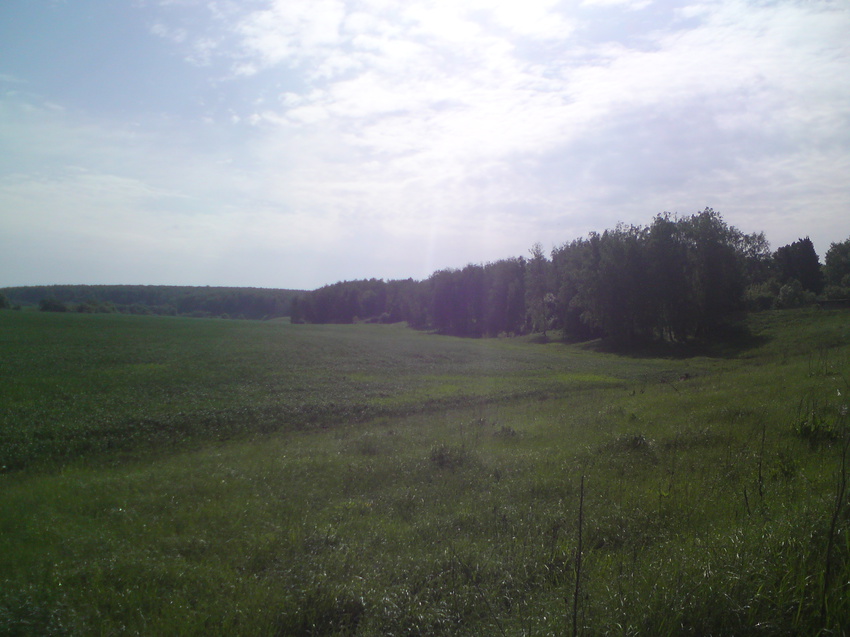 Спускаясь к полю