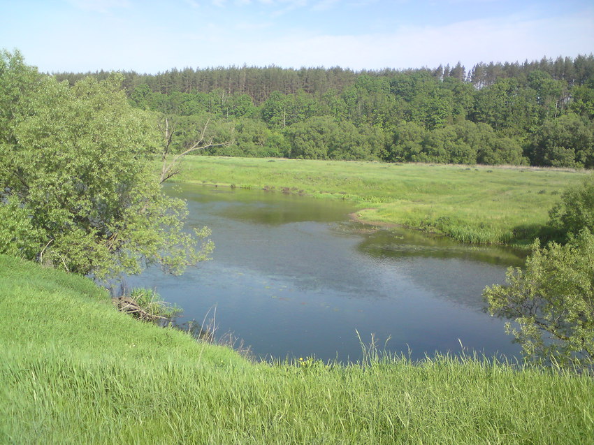 Прекрасный летний день