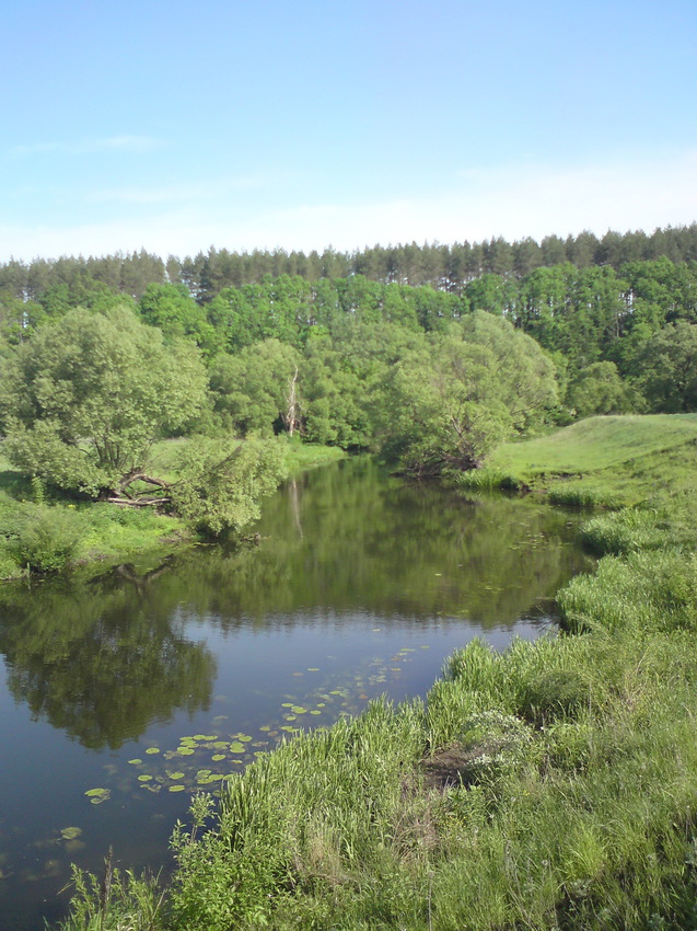 Затишье. Вид на пляж