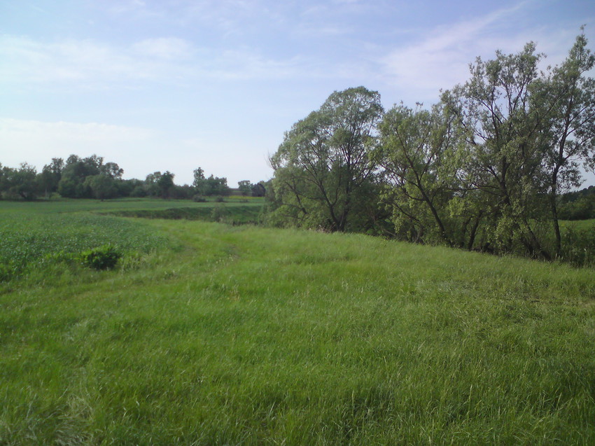 Дорога на речку