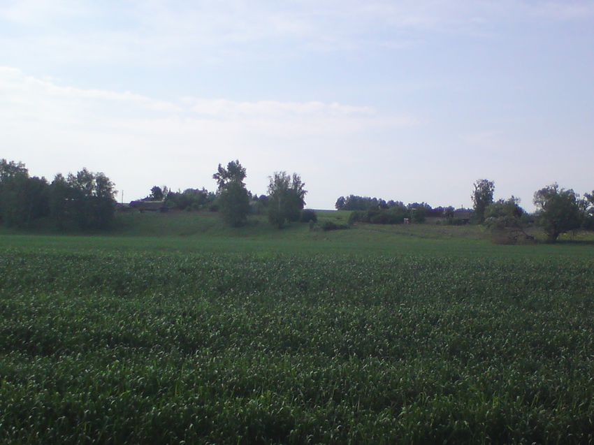 Затишье. Вид на деревню