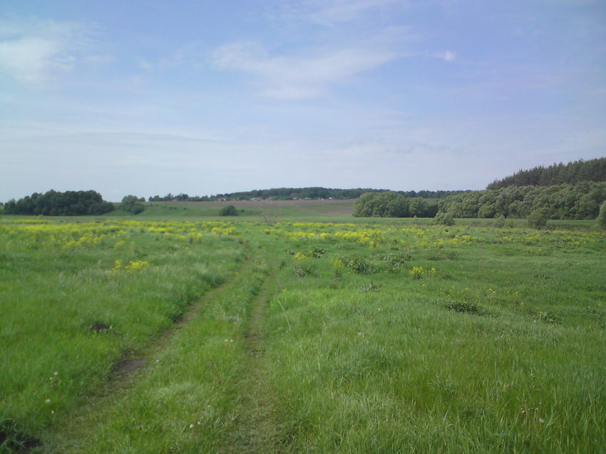 Затишье. Вид на Красное