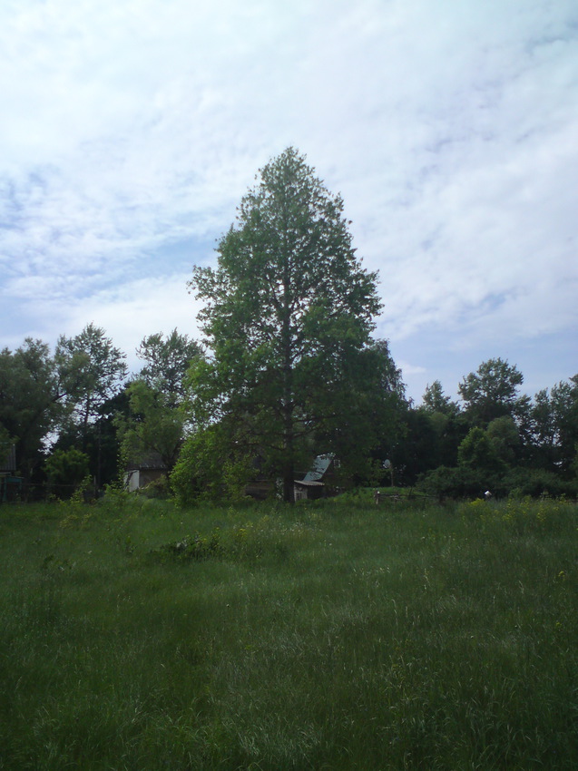 Затишье. За домами