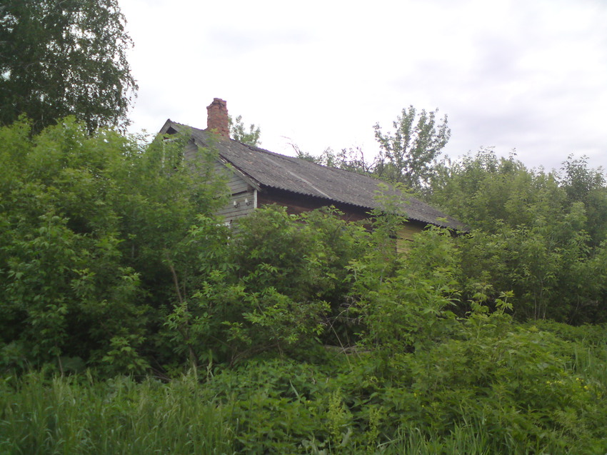 Природа бирёт своё