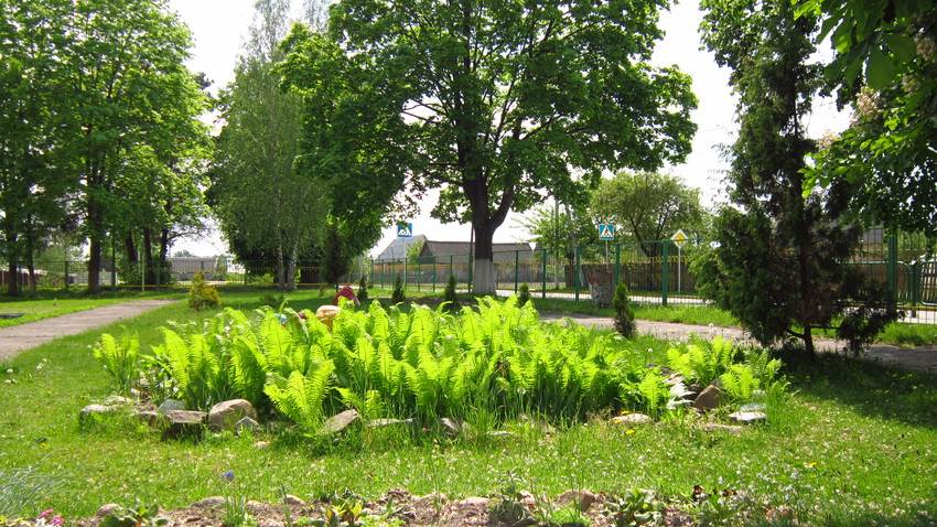 Дворик школы