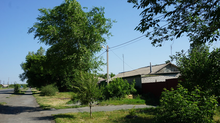 На улице Ватутина.