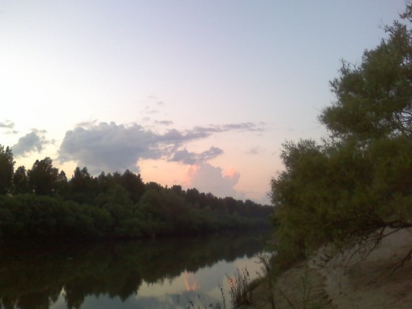 Р. Тара   впадает   река   курневка     1  км    от    самохвалово  !