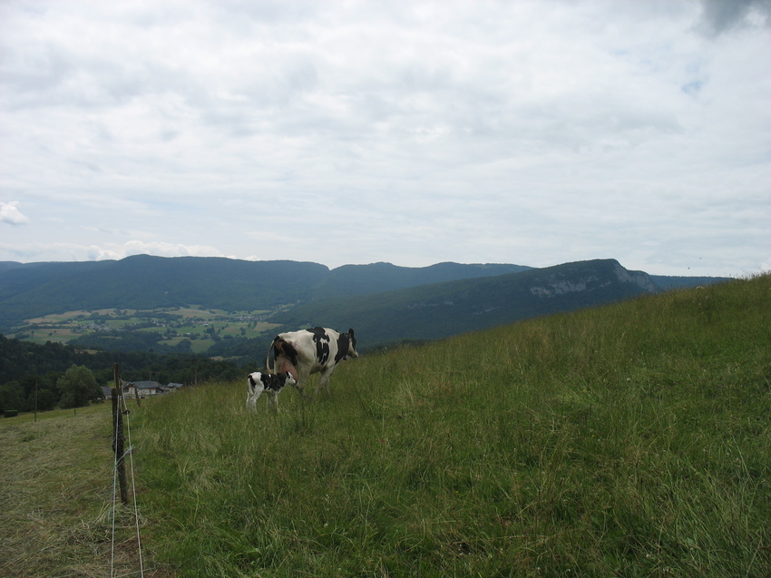 Bellecombe-en-Bauges 2015