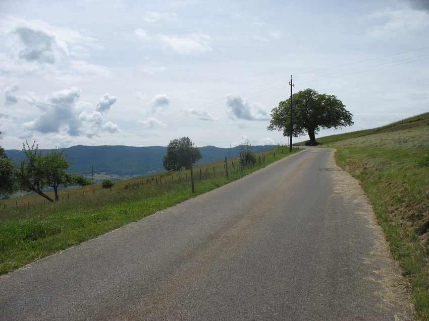 Bellecombe-en-Bauges 2015