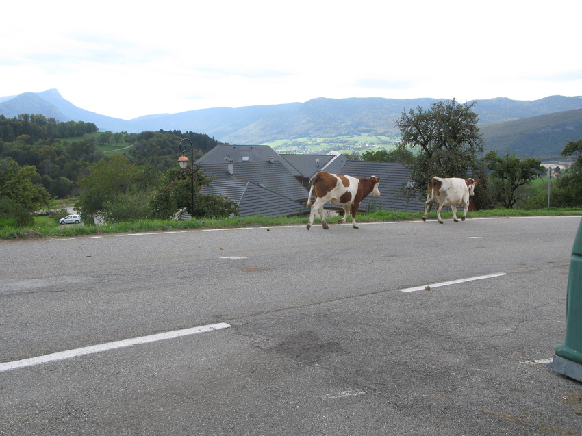 Bellecombe-en-Bauges 2014