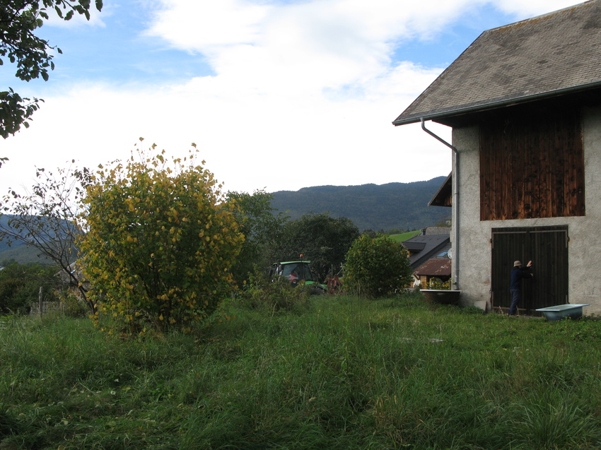 Bellecombe-en-Bauges 2014