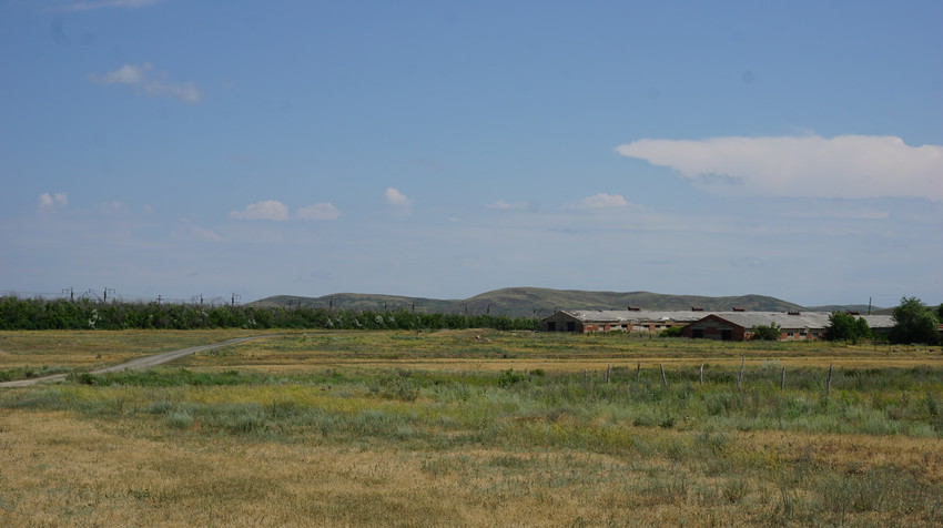 Степи оренбуржья.