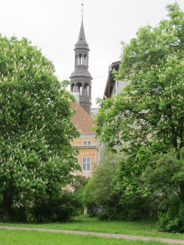 Шпиль Ратуши