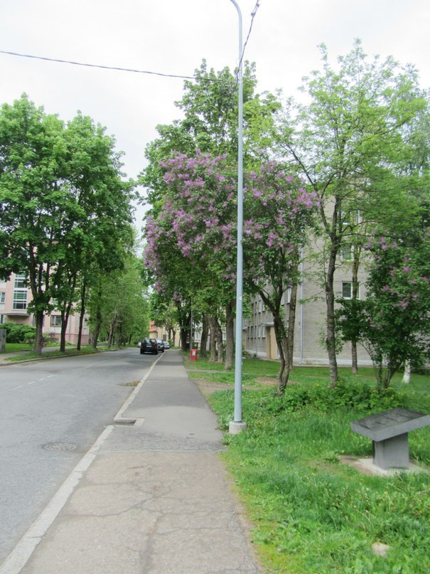 Нарва, около ратуши