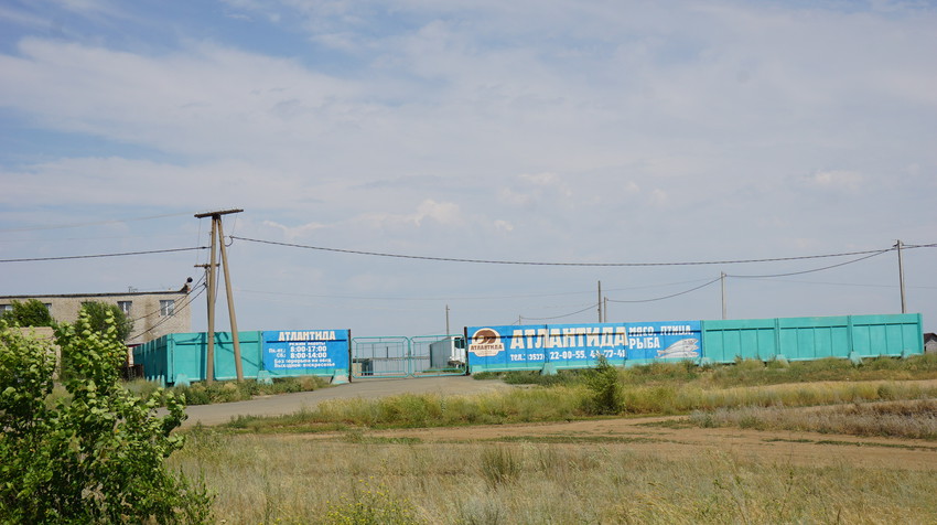 Частная рыбная фирма Атлантида.