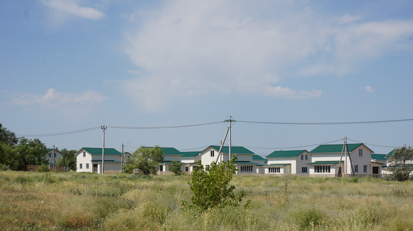 На Западном проспекте.