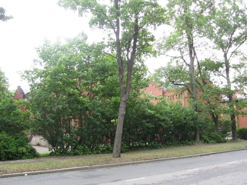 Нарва, район Кренгольмской мануфактуры