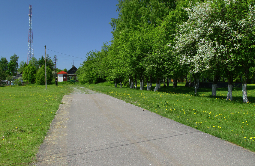 Волховский проспект