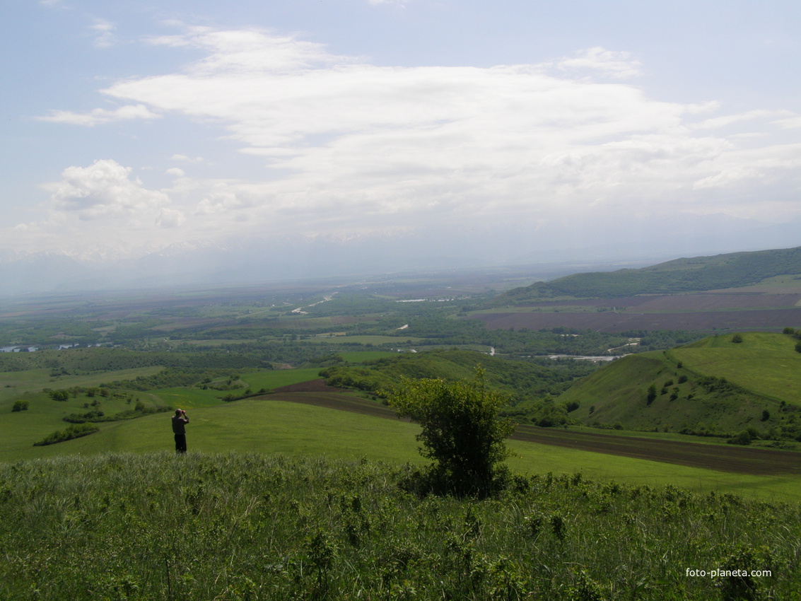 Николаевское и Краснгор