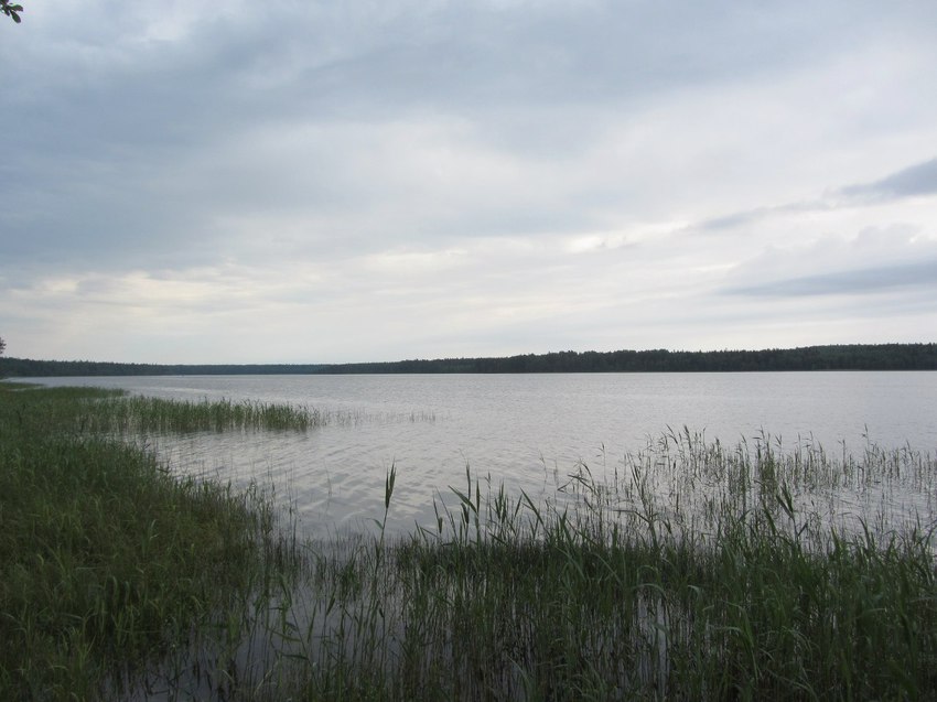 Липово, Липовское озеро - единственное соленое озеро в Ленинградской области