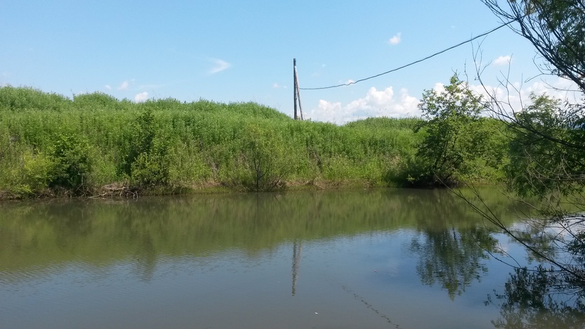 современный телеграф.