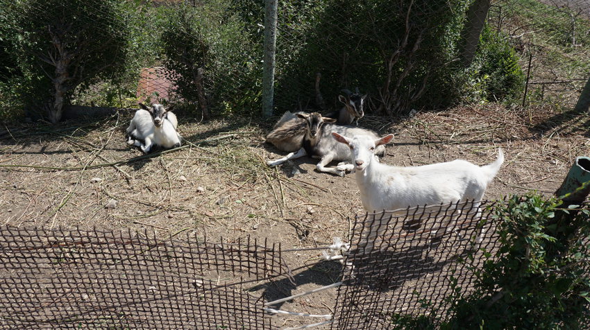Частный сектор.