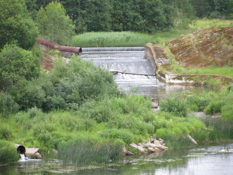 Поречье, река Луга