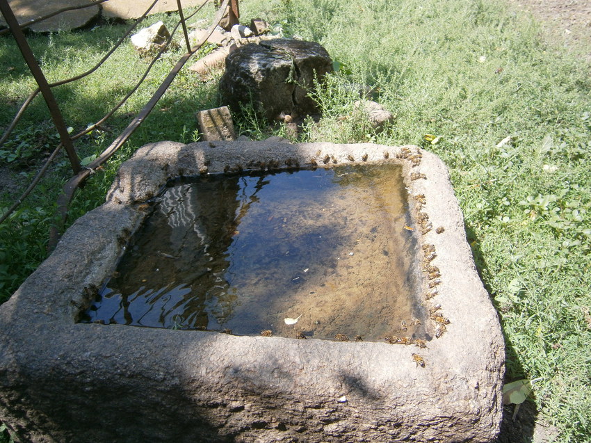 Древнее каменное корыто, хозяева наливают в него каждое утро свежую воду для пчел.