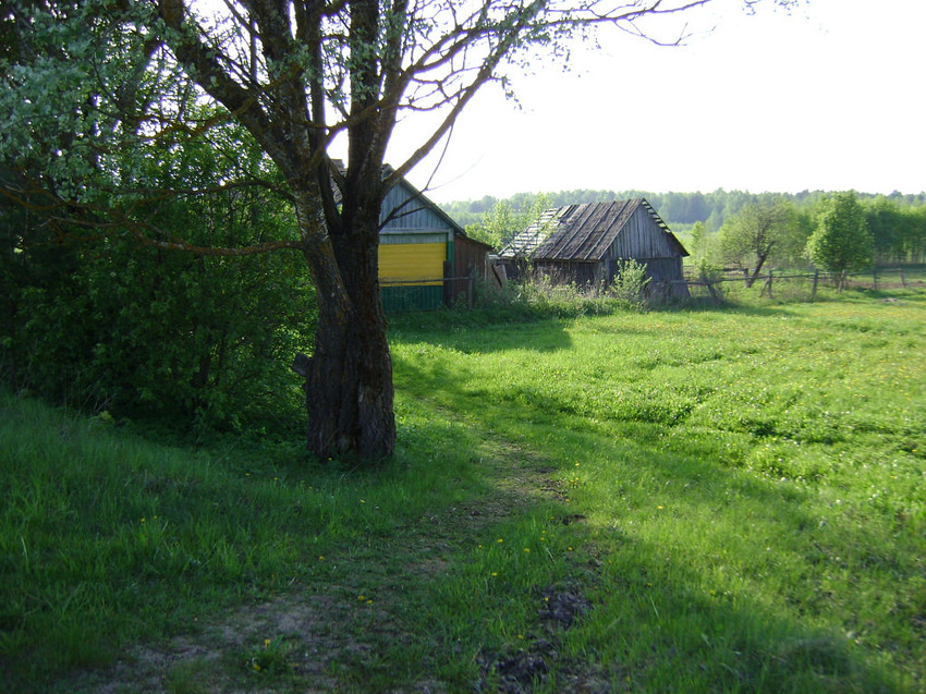Деревня Сыр-Липки