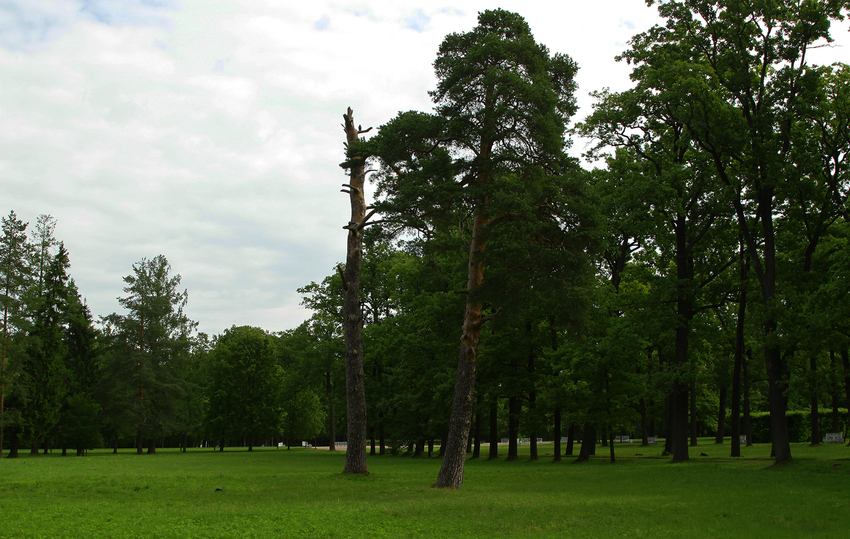 Александровский парк