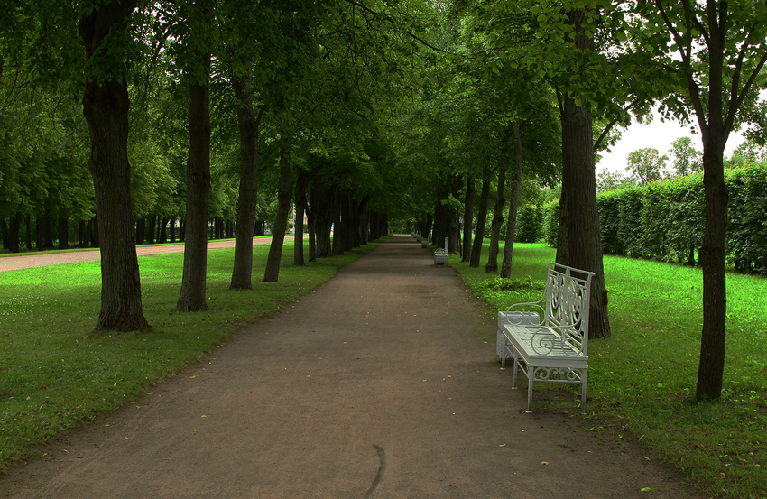 Аллея в парке