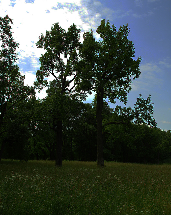 Александровский парк