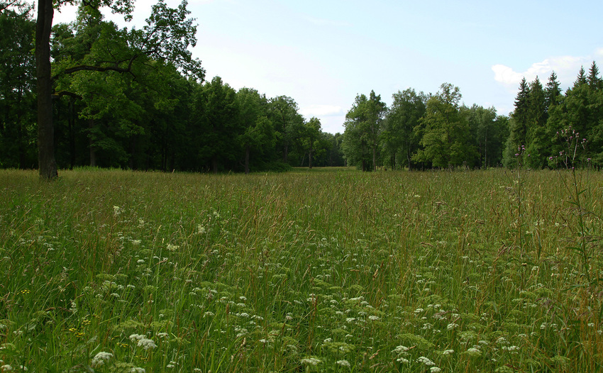 Александровский парк