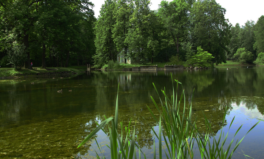 Детский пруд