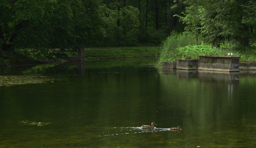 Детский пруд