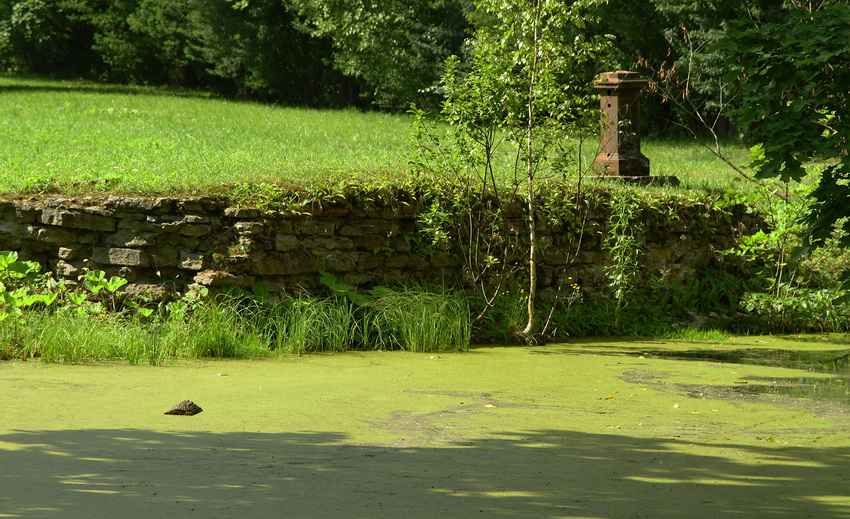Александровский парк