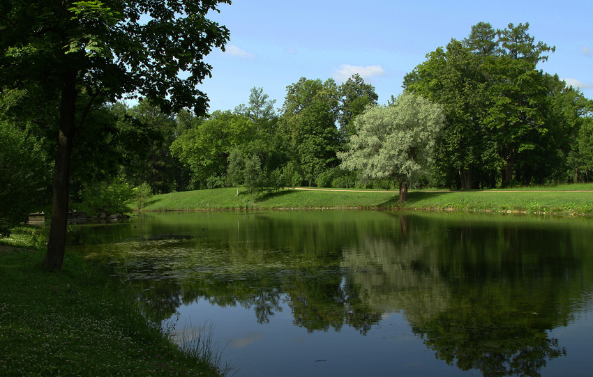 Детский пруд