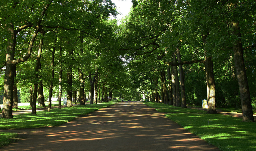 Рамповая аллея