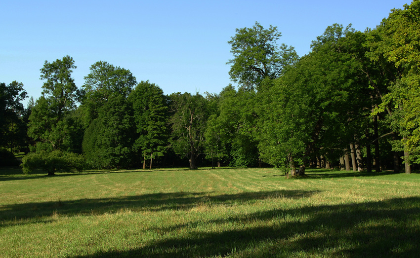 Екатерининский парк