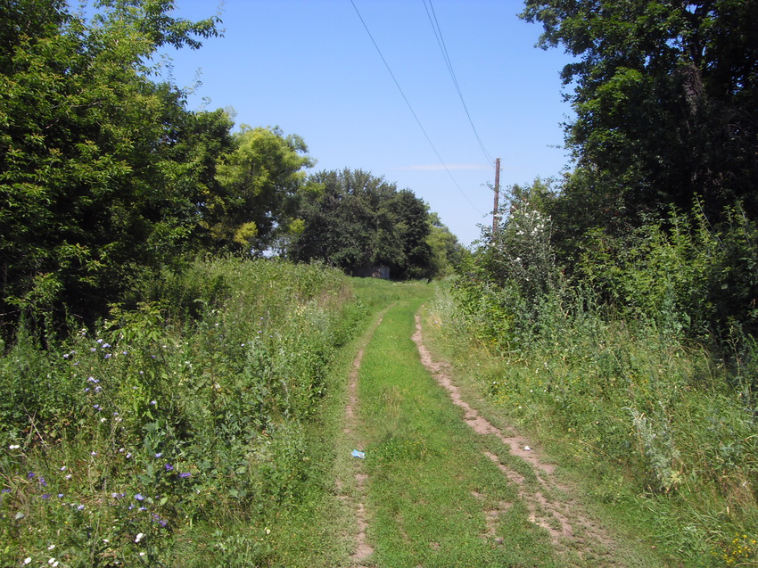 Дорога в село