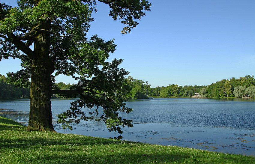 Большой пруд