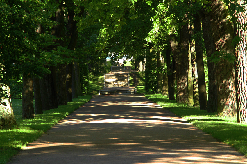 Дубовая аллея