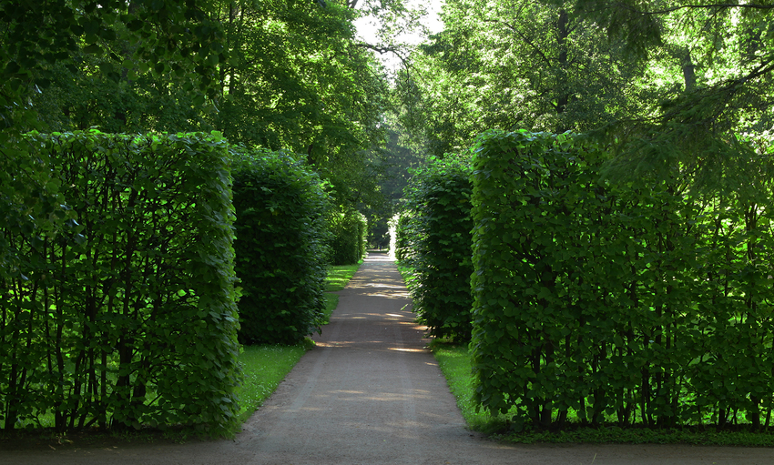 Екатерининский парк