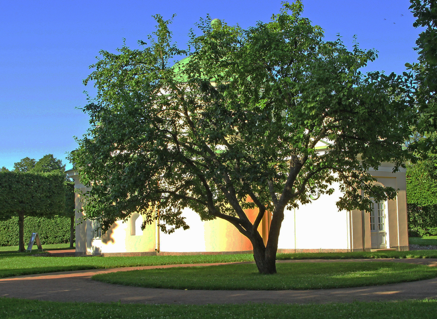 Павильон &quot;Нижняя ванна&quot;