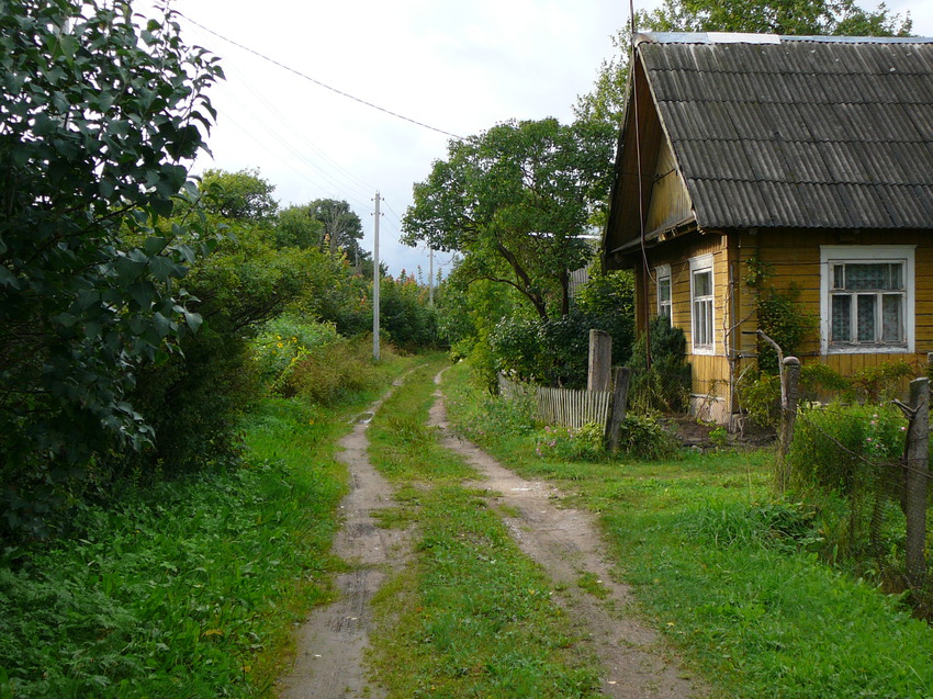 Проспект Казановский