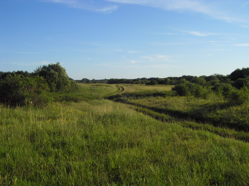 Кубань. Июль 2015